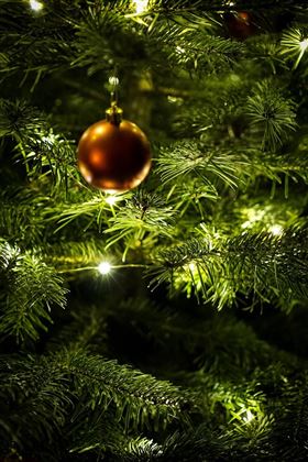 Christbaum