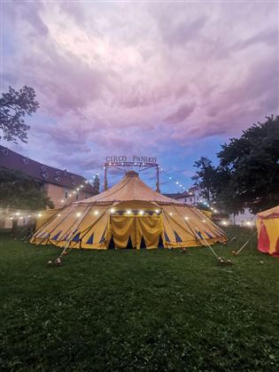Circo