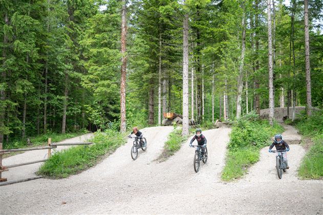 Drie fietsers rijden op een stoffig pad door een groene bos. De omgeving is kalm en uitnodigend, omgeven door hoge bomen.