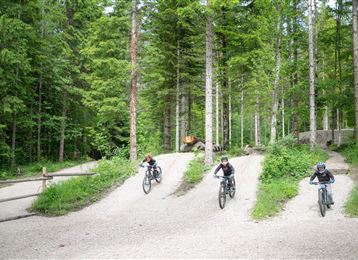 Three cyclists are riding on a gravel path through a forest. Tall trees frame the route, creating a green, natural atmosphere.