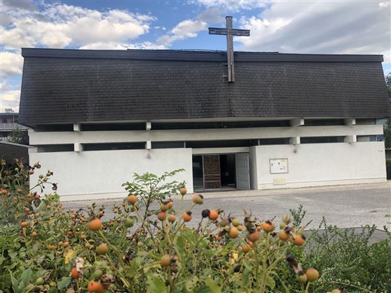 Une église moderne avec une croix sur le toit. Au premier plan, des buissons avec des fruits mûrs sont visibles.