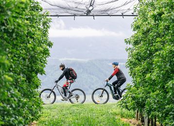 Kulinarische Radtour durch die Region