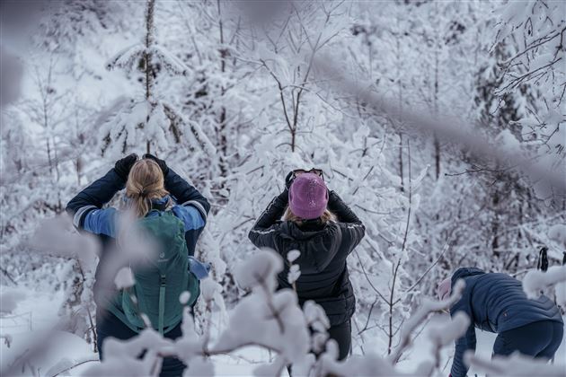 Drei Personen stehen im verschneiten Wald und schauen nach oben. Die Bäume sind mit Schnee bedeckt, und die Landschaft wirkt winterlich und friedlich.