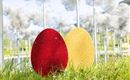 Deux œufs de Pâques brillants, un rouge et un doré, se trouvent dans l'herbe verte. À l'arrière-plan, des objets flous et lumineux sont visibles.