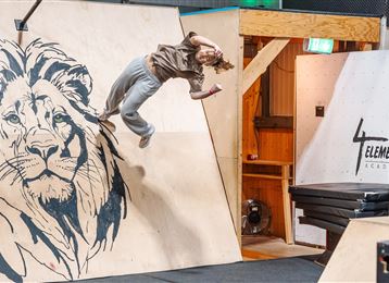 Een skater springt op een ramp met een leeuwenafbeelding op de achtergrond. De scène toont energie en beweging in een indoor sportomgeving.