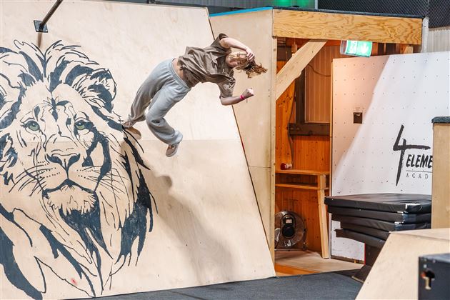 Een skater springt op een ramp met een leeuwenafbeelding op de achtergrond. De scène toont energie en beweging in een indoor sportomgeving.