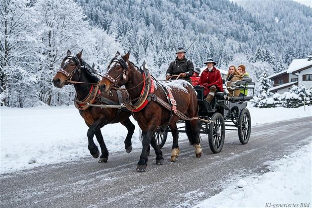 Pferdekutsche im Winter Mils bei Hall in Tirol