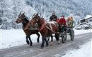 Pferdekutsche im Winter Mils bei Hall in Tirol