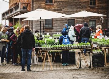 Un marché animé avec des gens qui achètent des plantes et des plants. Les stands sont décorés de plantes vertes et offrent de l'ombre grâce à de grands parasols.