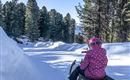 Ein Kind sitzt auf einem Schlitten auf einem verschneiten Weg. Im Hintergrund sind hohe Bäume und ein klarer blauer Himmel zu sehen.