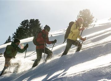 Geführte Wanderung - Mit Schneeschuhen durch die weiße Pracht