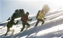 A group of three people is hiking through the snow. They are wearing warm clothing and have ski poles.