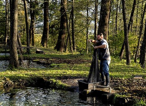 Een man staat aan de oever van een vijver en vist met een net. De omgeving is omgeven door bomen en groen gras.