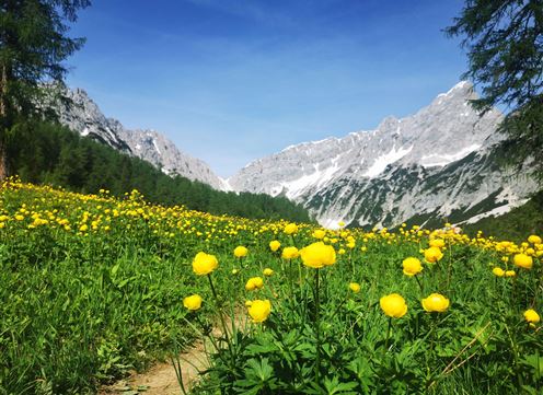 Issanger