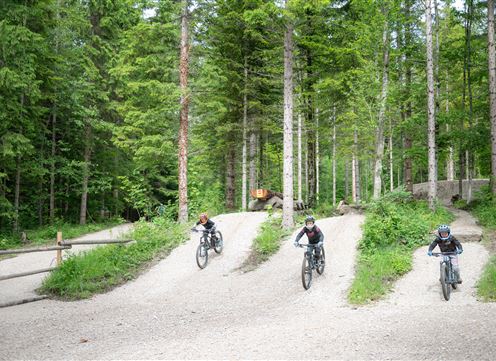 Drei Radfahrer fahren auf einem schottrigen Pfad durch einen Wald. Hohe Bäume umrahmen die Strecke und schaffen eine grüne, naturnahe Atmosphäre.