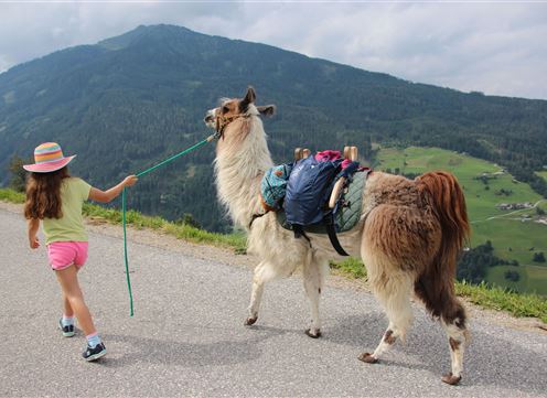 Lamatrekking