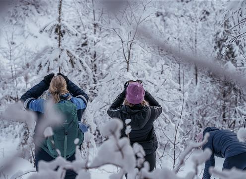 Three people are standing in the snowy forest and looking up. The trees are covered with snow, and the landscape looks wintry and peaceful.