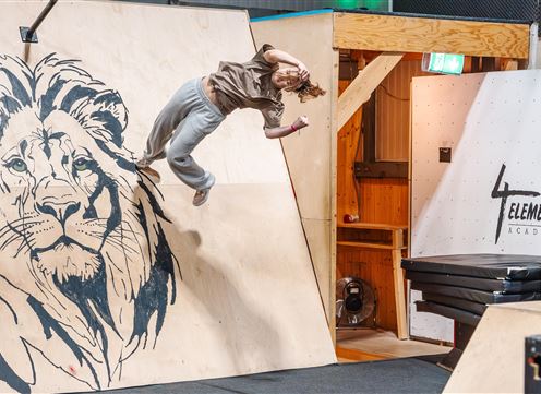 Uno skater salta su una superficie inclinata con un'immagine di un leone sullo sfondo. La scena mostra energia e movimento in un ambiente sportivo indoor.