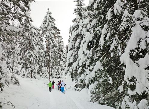 Schneeschuhwanderung