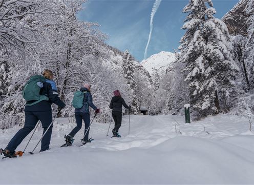 Drei Personen wandern mit Schneeschuhen durch eine verschneite Landschaft. Hohe, schneebedeckte Bäume und ein klarer Himmel sind im Hintergrund sichtbar.