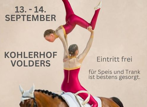 Ein Plakat für die Tiroler Meisterschaft im Voltigieren 2025. Es zeigt zwei Voltigiererinnen auf einem Pferd, die eine akrobatische Darbietung präsentieren.