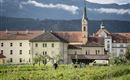Felder beim Kloster Thurnfeld