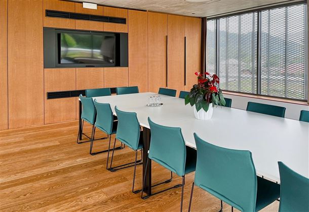 Ein moderner Besprechungsraum mit einem langen Tisch und grünen Stühlen. An der Wand befindet sich ein Fernseher und ein paar Pflanzen sorgen für eine angenehme Atmosphäre.