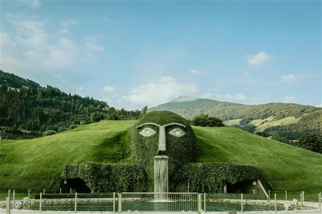Een groene landschap met een groot gezichtsrelief van planten. Op de achtergrond zijn zachte heuvels en een blauwe lucht te zien.