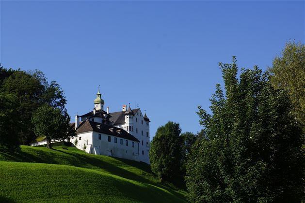 Ein malerisches Schloss auf einem Hügel, umgeben von grünen Wiesen und Bäumen. Der Himmel ist klar und blau.