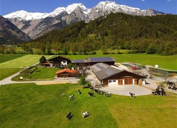 Une ferme pittoresque dans les Alpes avec des montagnes enneigées en arrière-plan. Dans le champ, des vaches paissent sous un ciel bleu clair.