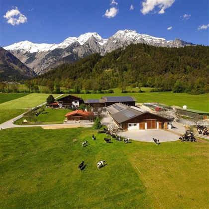 Een pittoreske boerderij in de Alpen met besneeuwde bergen op de achtergrond. Op het weiland grazen koeien onder een heldere blauwe lucht.