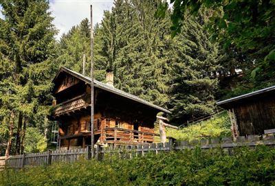 Une maison en bois rustique entourée de grands arbres verts. Le jardin pittoresque est entouré d'une clôture en bois.