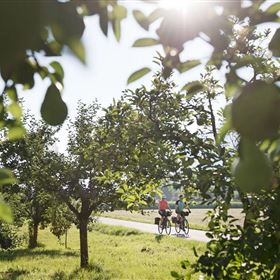 Kulinarische Radtour