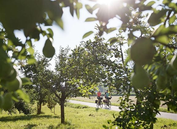 Kulinarische Radtour Tirol Hall-Wattens Bauernläde