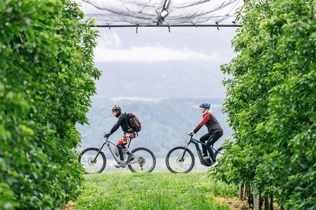 Two cyclists are riding through a green avenue of trees. In the background, hills and a cloudy sky are visible.