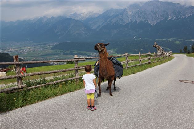 Un bambino è in piedi su una strada e guarda un lama. Sullo sfondo si vedono montagne e un paesaggio verde.