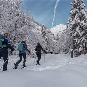 Schneeschuhwanderung Gnadenwald