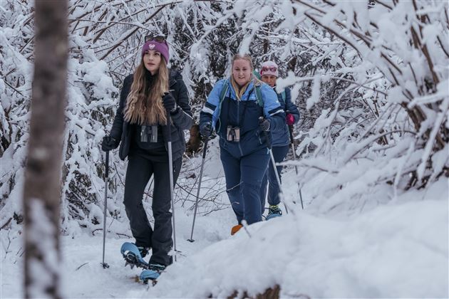 Drei Frauen wandern durch eine verschneite Waldlandschaft. Sie tragen Schneeschuhe und genießen die winterliche Umgebung.