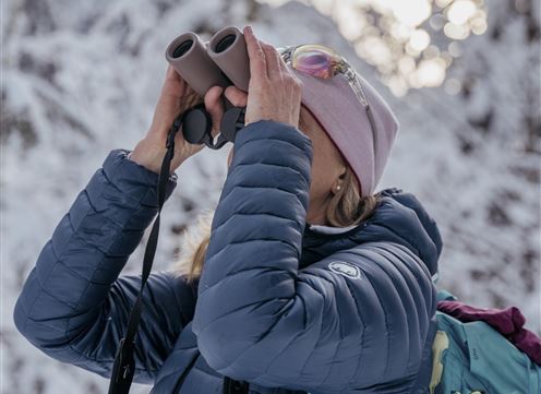 Nature Watch Tour Halltal