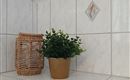 A stylish bathroom corner with a plant in a pot and a decorative basket. The walls are adorned with white tiles.