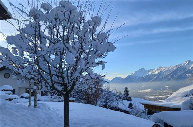 A snowy landscape with a tree covered in snow. In the background, there are mountains and a clear sky.