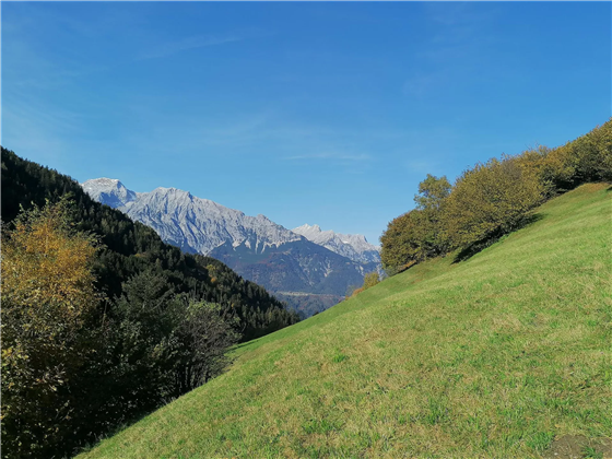 Ausblick vom Hof Urlaub in Tirol