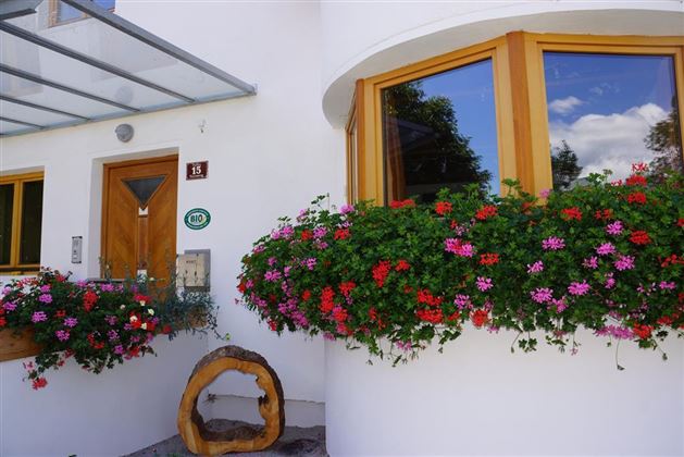 An inviting entrance area with a wooden window and blooming flower boxes in red and pink. The facade is bright and friendly, with a covered porch.