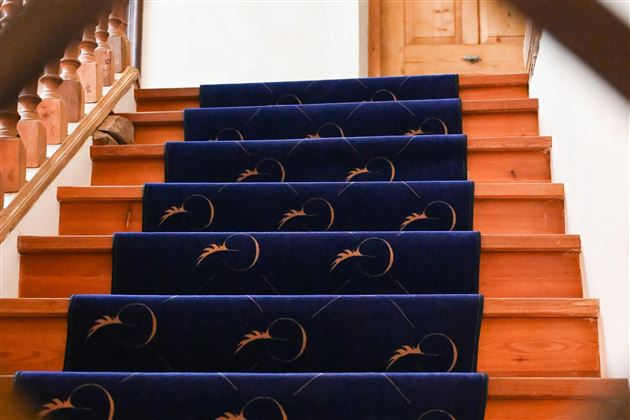 A staircase with wooden steps and a blue carpet runner. In the background, a wooden door is visible.