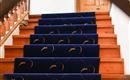 A staircase with wooden steps and a blue carpet runner. In the background, a wooden door is visible.