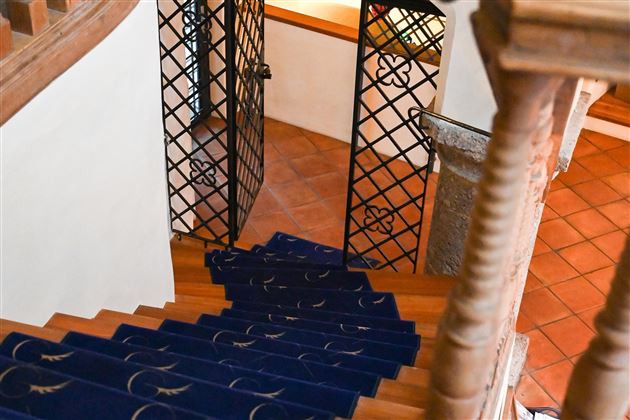 A staircase with a blue carpet runner leads downwards. In the background, there are grill doors and light walls visible.