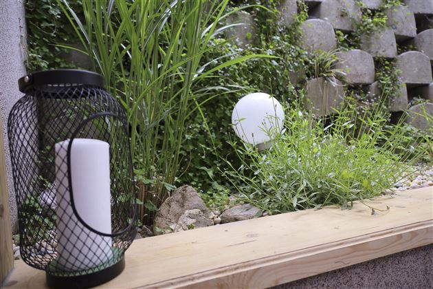 A quiet garden area with plants and a illuminated ball. A decorative lantern is placed on a wooden board next to the greenery.