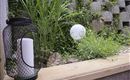 A quiet garden area with plants and a illuminated ball. A decorative lantern is placed on a wooden board next to the greenery.