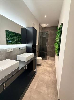 Ein modernes Badezimmer mit schwarzen Möbeln und zwei Waschbecken. Die Dusche ist mit Glas abgetrennt, und eine Wand mit grünen Pflanzen sorgt für einen frischen Akzent.