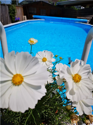 Hotel Glungezer, Pool/Garten SAISONAL